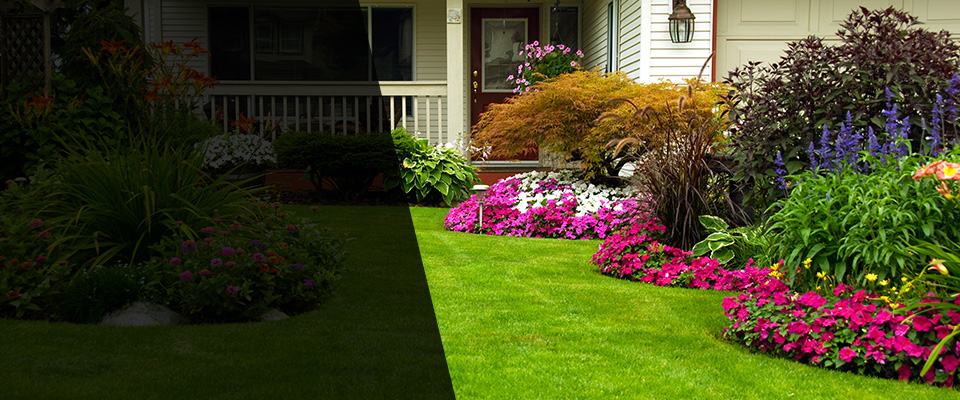 Telluride Landscapers